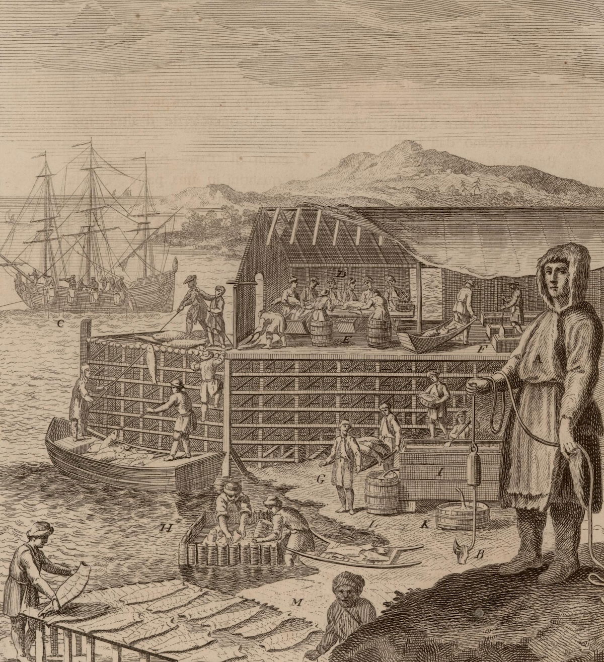 View of a stage where cod is caught, prepared and dried in Newfoundland, Marco Coltellini, 1763. ©John Carter Brown Library, Box 1894, Brown University, Providence, R.I. 02912.