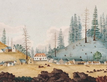 ‘A View of Sydney on Norfolk Island, 1792’. Mitchell Library, State Library of New South Wales. Public Domain.