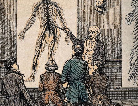 A lecture on the nervous system, by C. Bethmont, c.1860. Wellcome Collection. Public Domain.